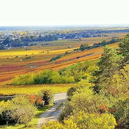 La Maison De L'ecu : Charme Et Vue Incroyable *
