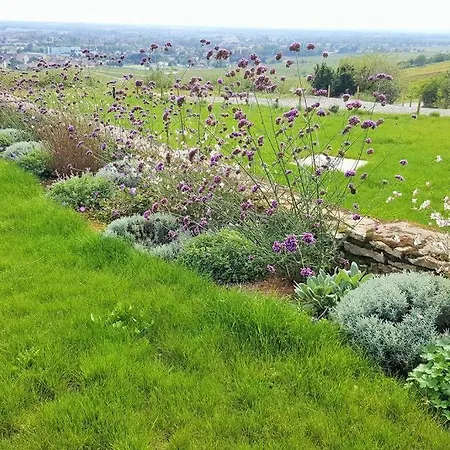 La Maison De L'ecu : Charme Et Vue Incroyable Vakantiehuis Beaune (Cote d'Or)