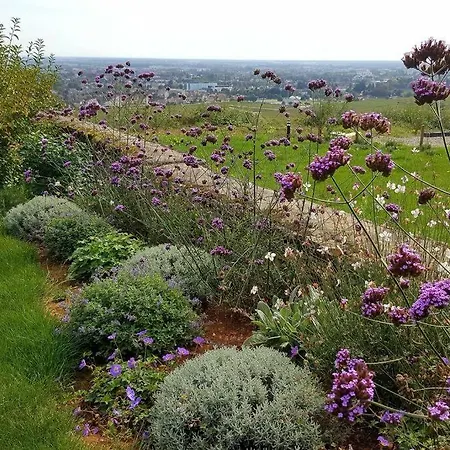 La Maison De L'ecu : Charme Et Vue Incroyable