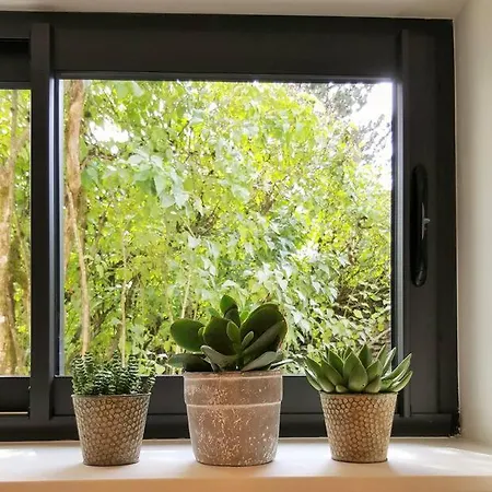 La Maison De L'ecu : Charme Et Vue Incroyable Vakantiehuis *