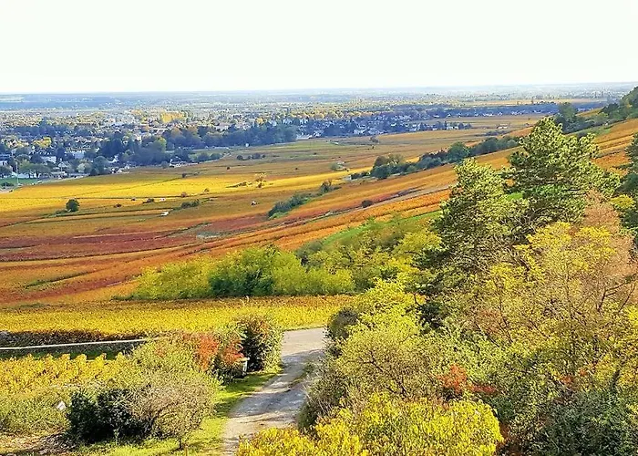 La Maison De L'ecu : Charme Et Vue Incroyable *