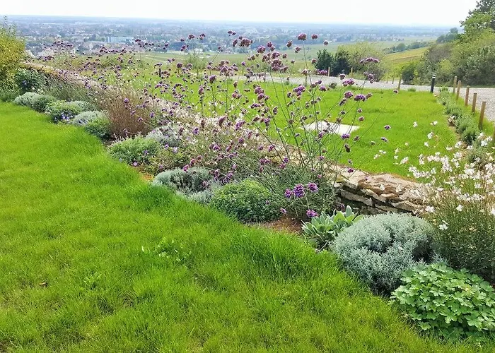 La Maison De L'ecu : Charme Et Vue Incroyable Nyaraló Beaune
