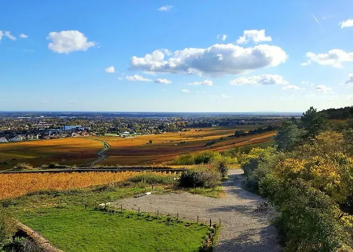 La Maison De L'ecu : Charme Et Vue Incroyable