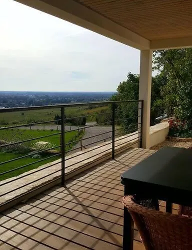 La Maison De L'ecu : Charme Et Vue Incroyable Beaune (Cote d'Or)